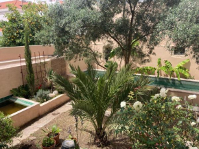Junqueira Gardens - Casa Antiga Jardim e Piscina